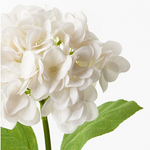 Load image into Gallery viewer, Hydrangea - White
