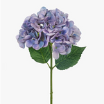 Load image into Gallery viewer, Hydrangea - Blue
