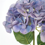 Load image into Gallery viewer, Hydrangea - Blue
